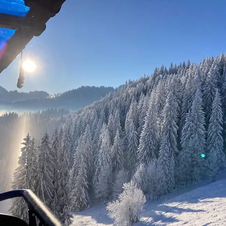 Dehnert