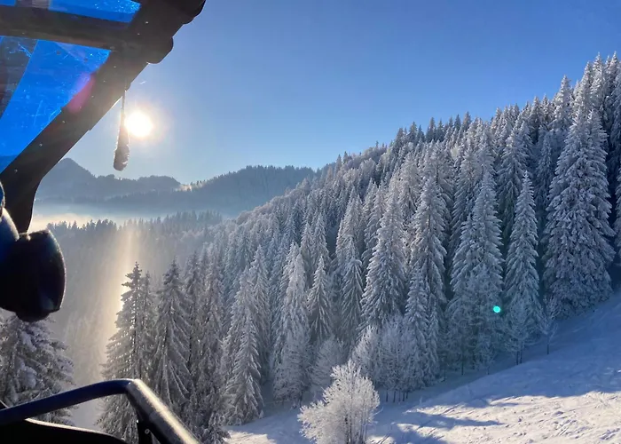 Dehnert